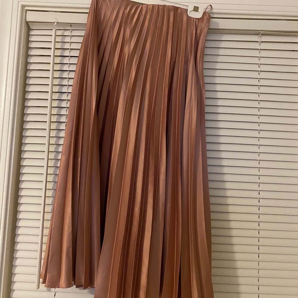 Zara pleated skirt. Brand NWT